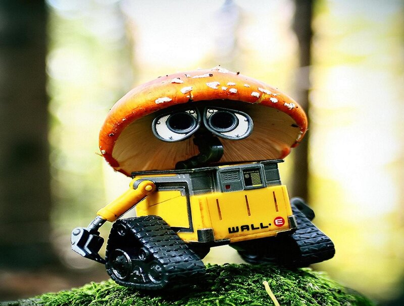 Robot with Mushroom Hat