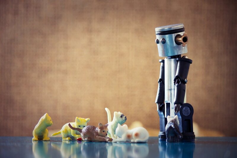 Robot with Toy Cats