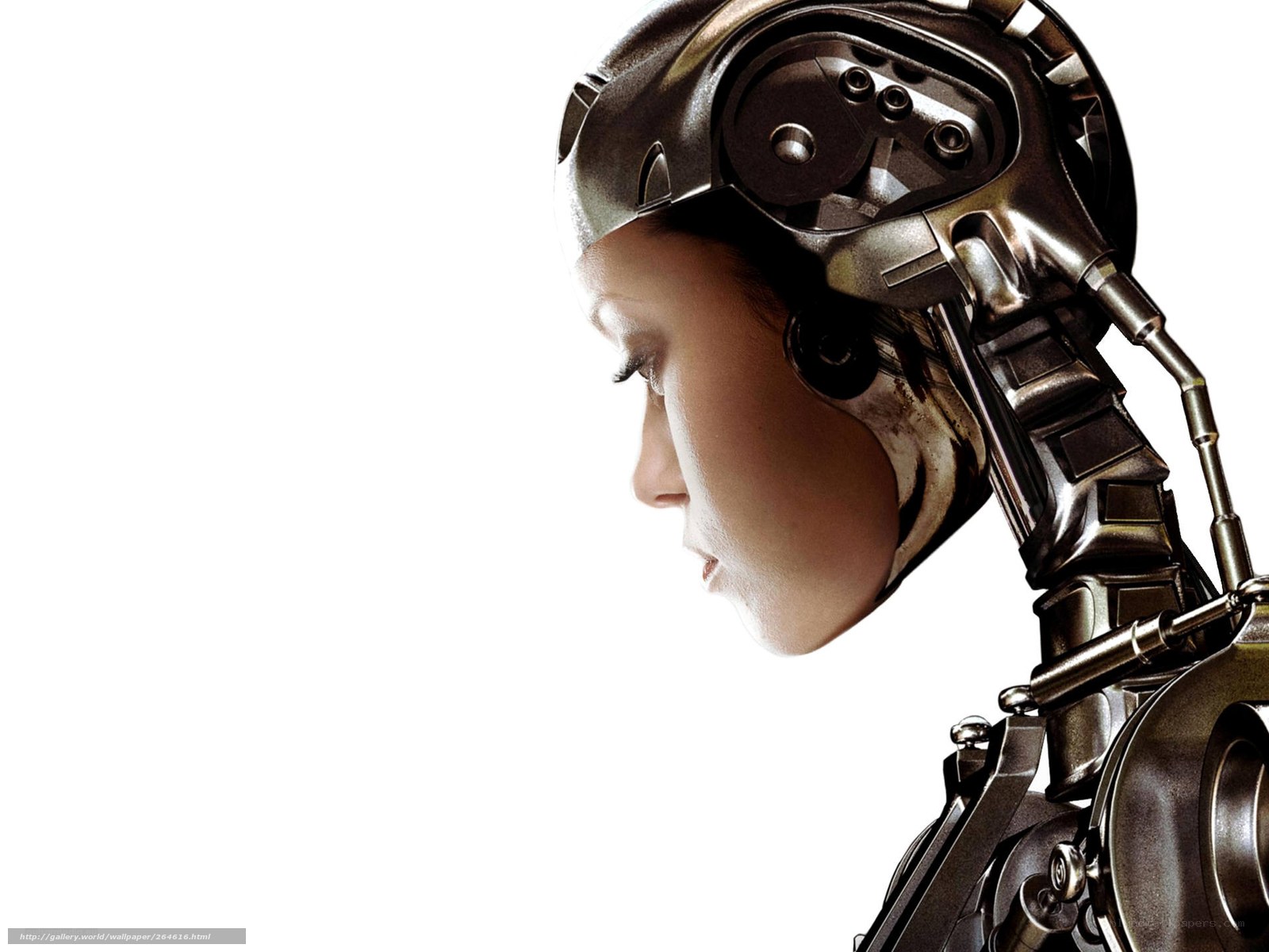 robot woman profile