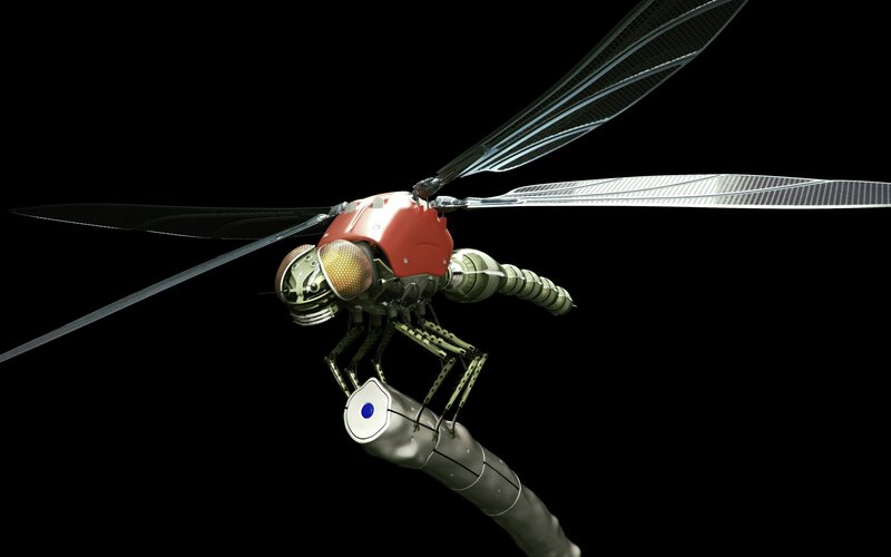 Robotic Dragonfly