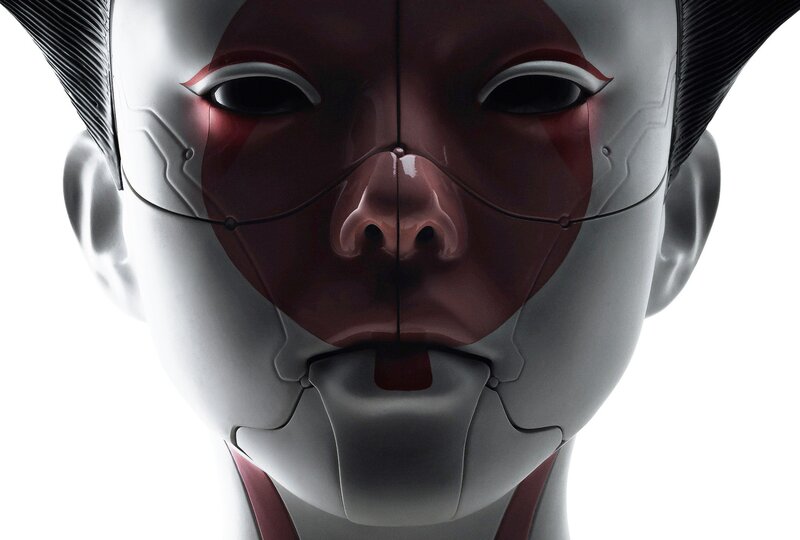 Robotic Face