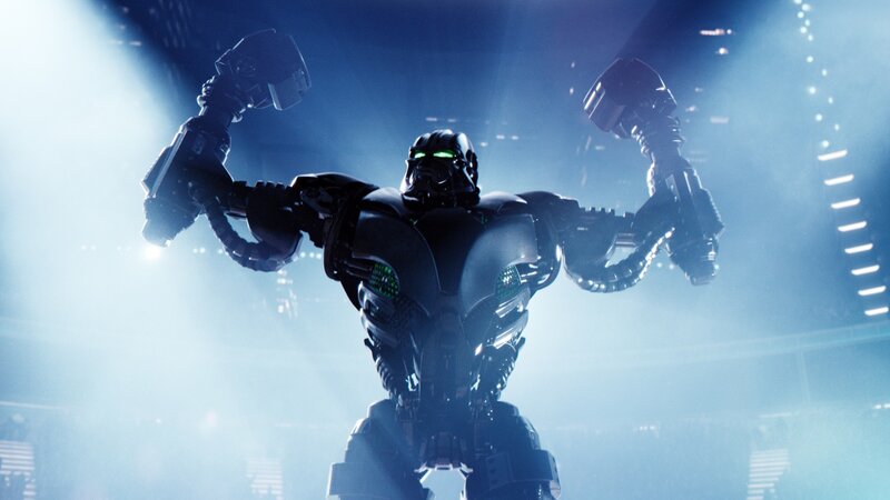 Robotic Fighter in Arena