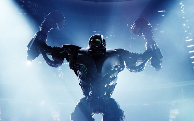 Robotic Fighter