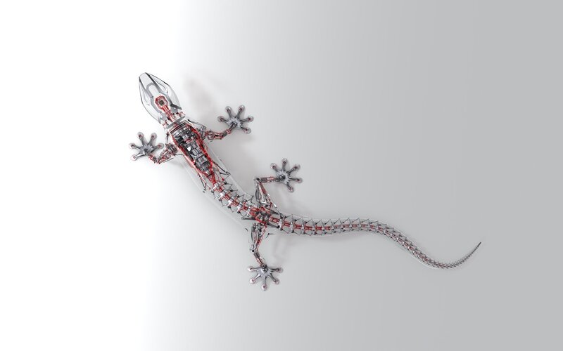 robotic gecko model