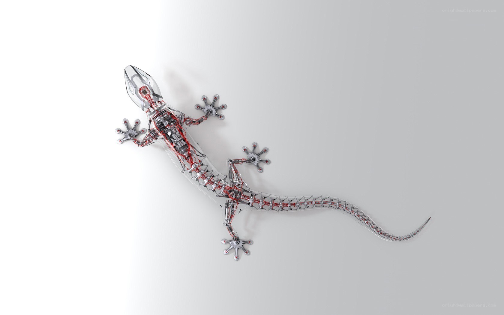 robotic gecko model