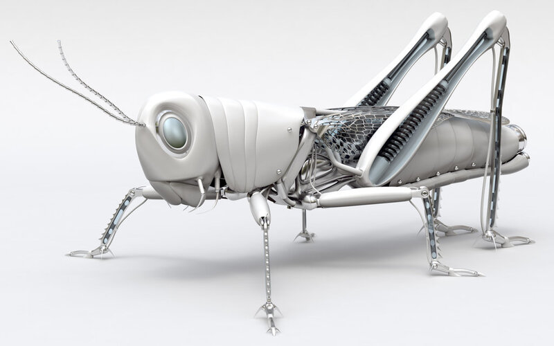 robotic grasshopper model