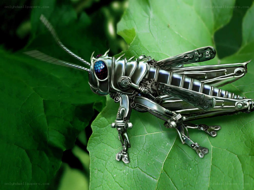 robotic grasshopper on leaf