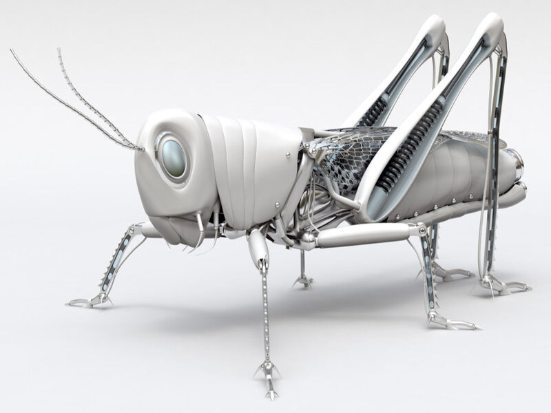 Robotic Grasshopper