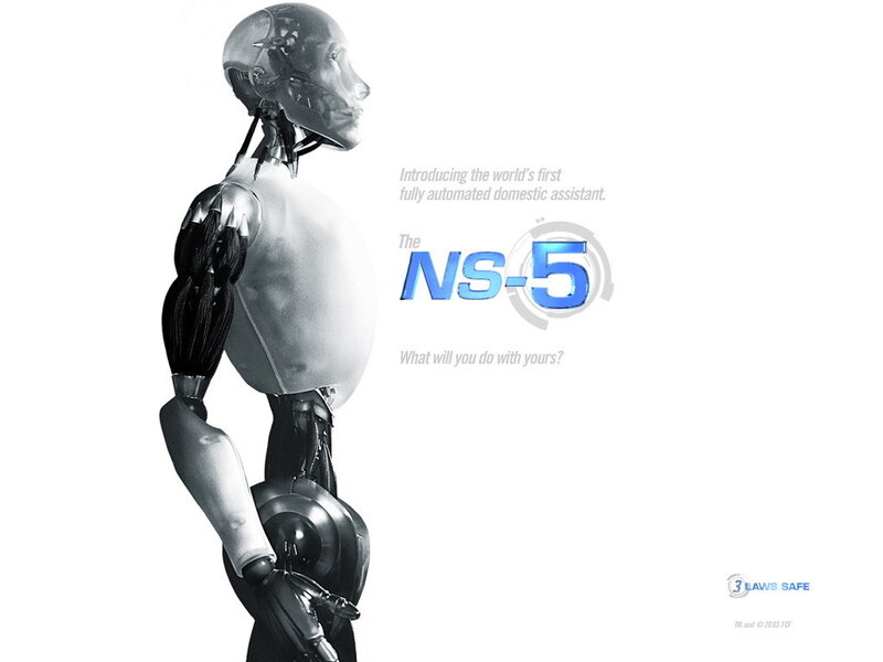 Robotic Humanoid Assistant