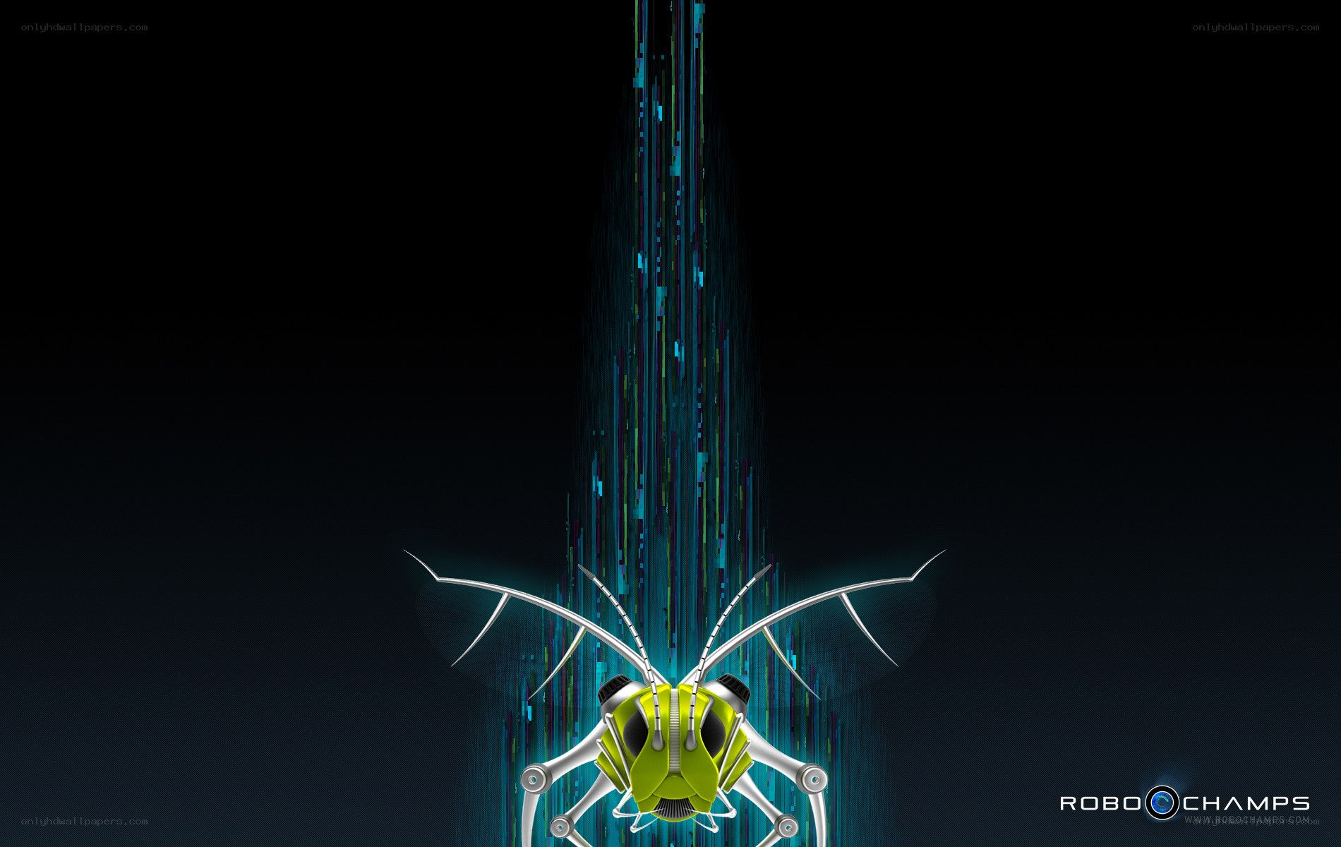 robotic insect with data stream
