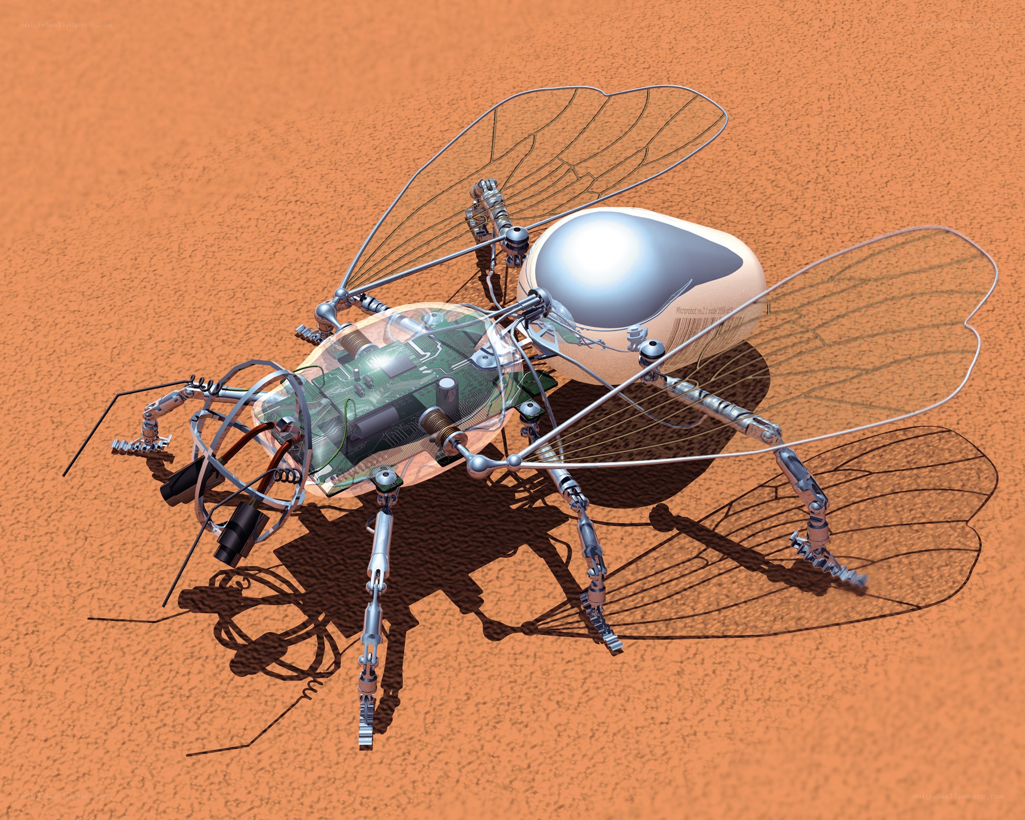robotic insect with transparent body