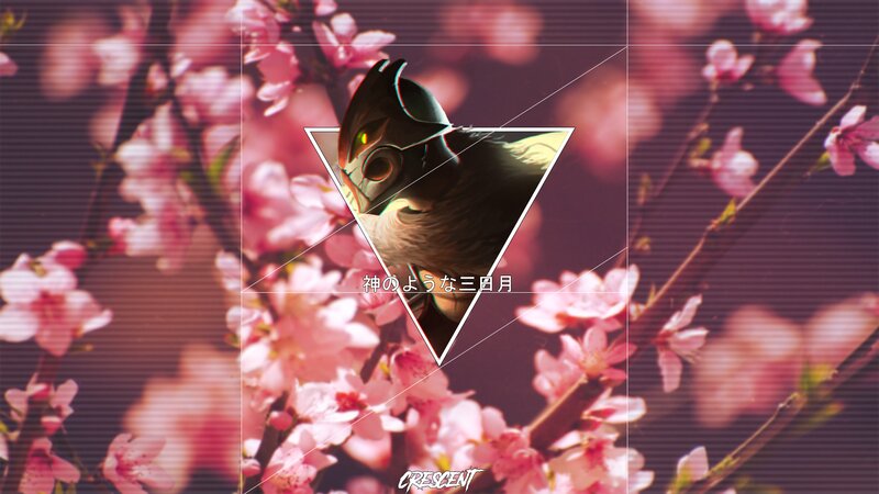 Robotic Owl in Triangle