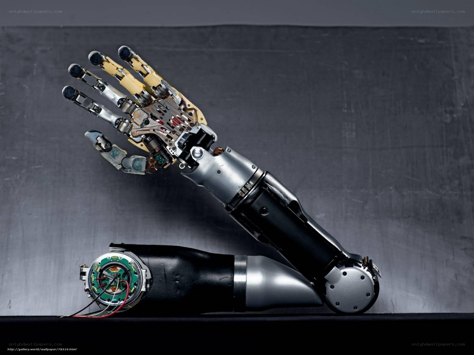 robotic prosthetic hand