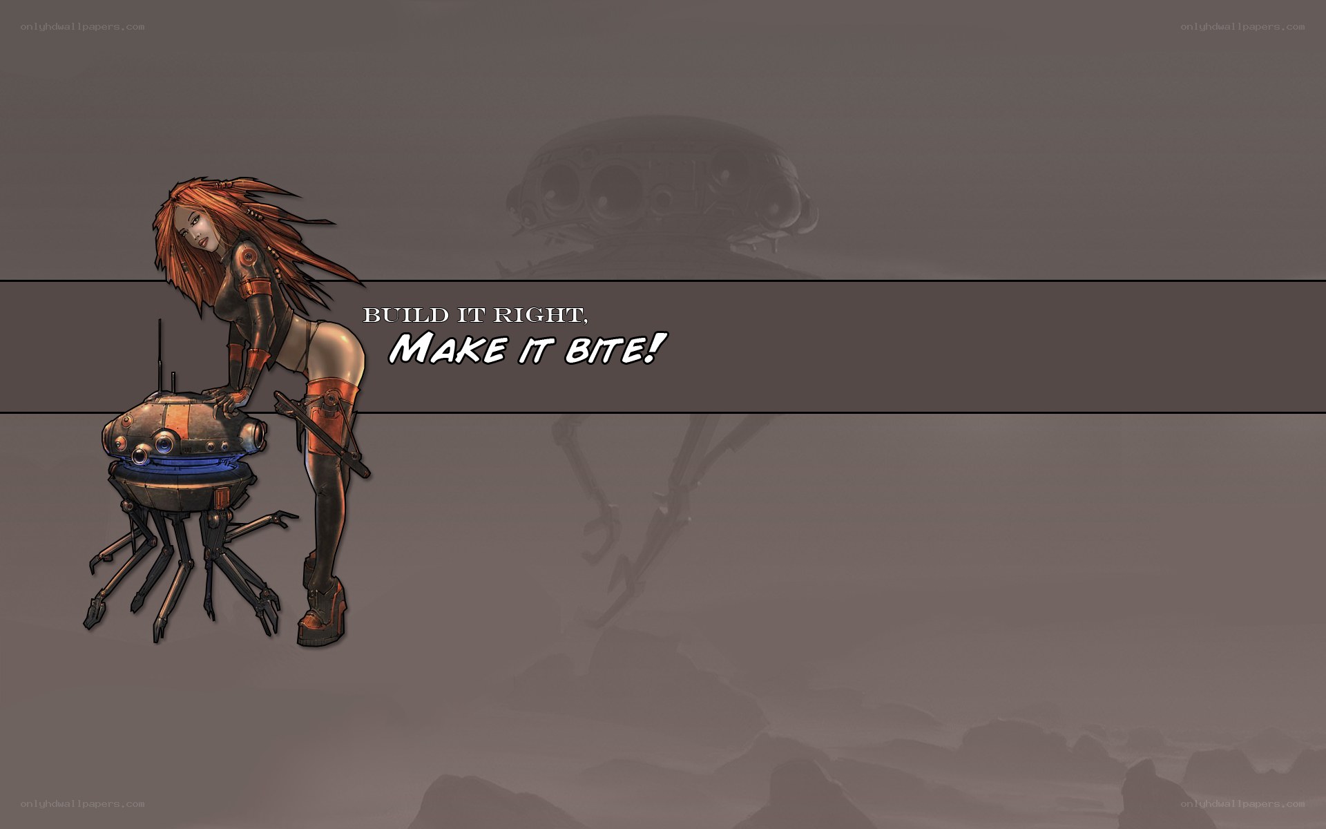 robotic spider companion
