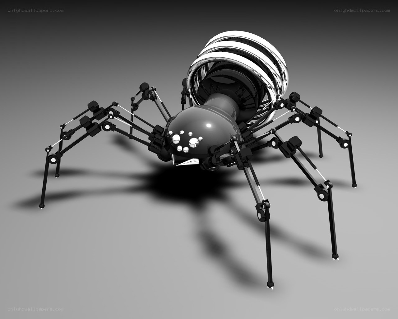 robotic spider with metallic body
