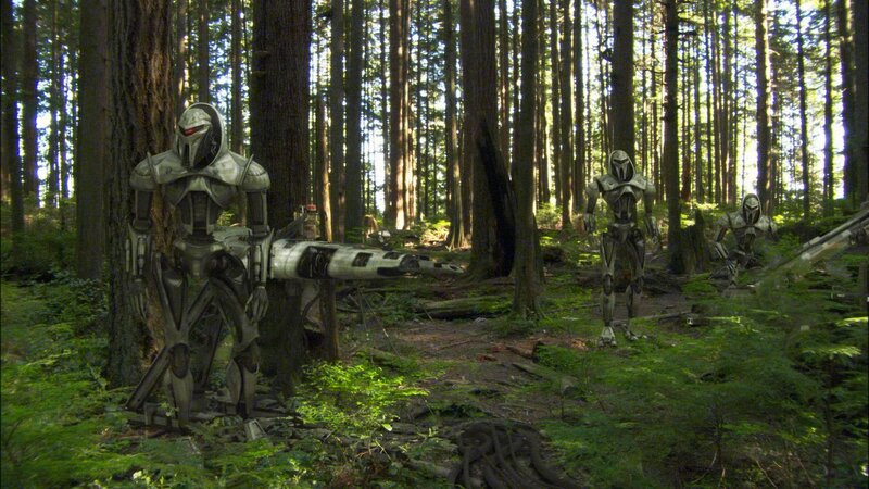 robots in a forest