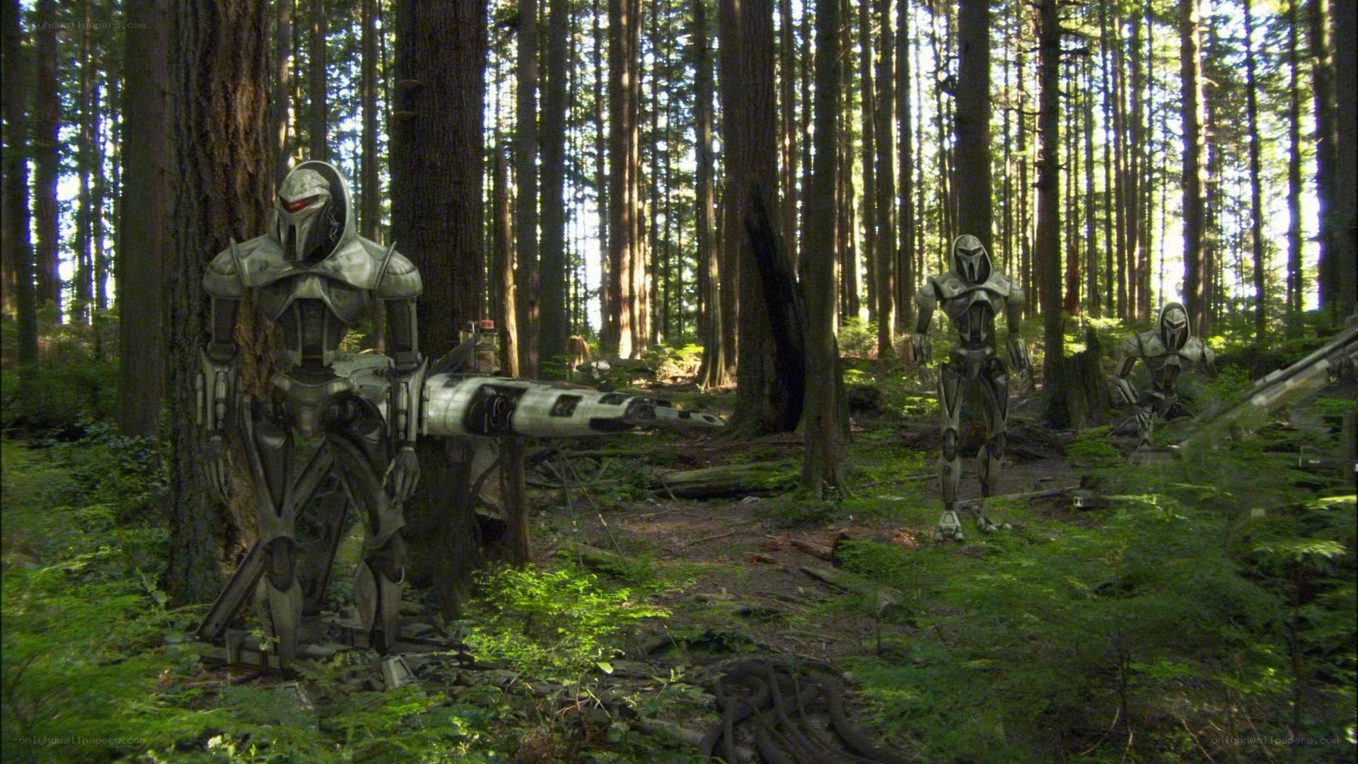 robots in a forest