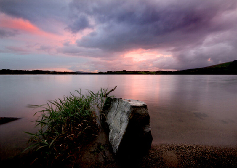 Rock and Reeds by Lake
