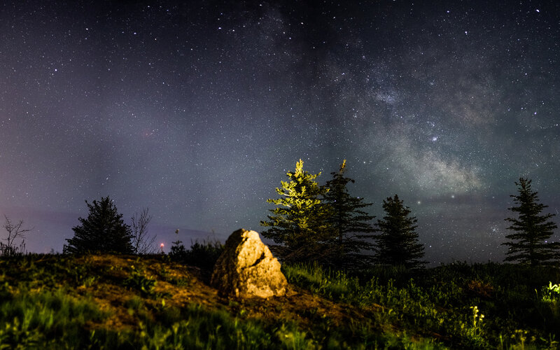 Rock and Trees under Stars