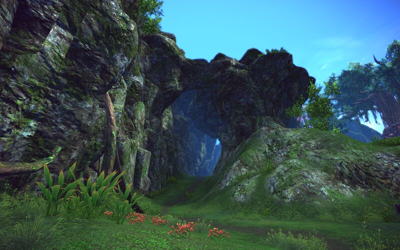 Rock Arch in Forest