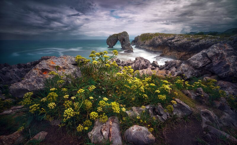 Rock Arch on Coast — Gray