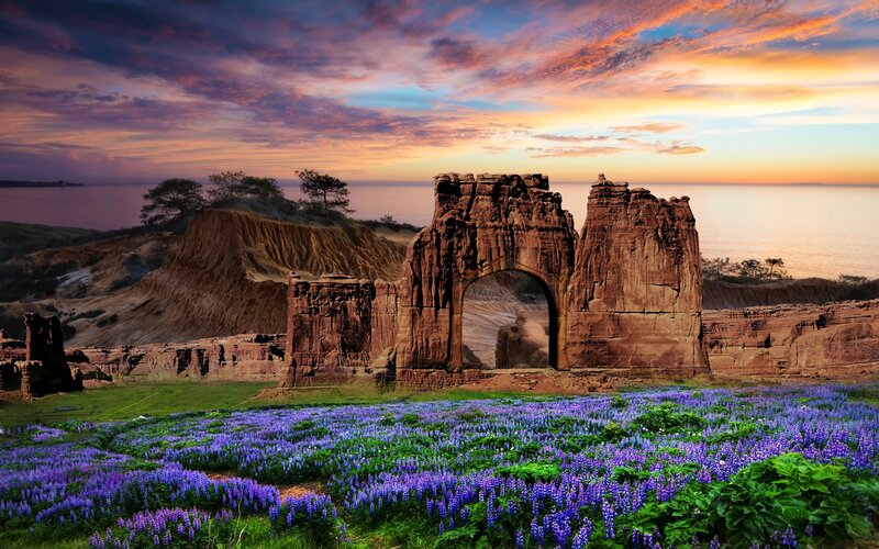 Rock Arch with Purple Flowers