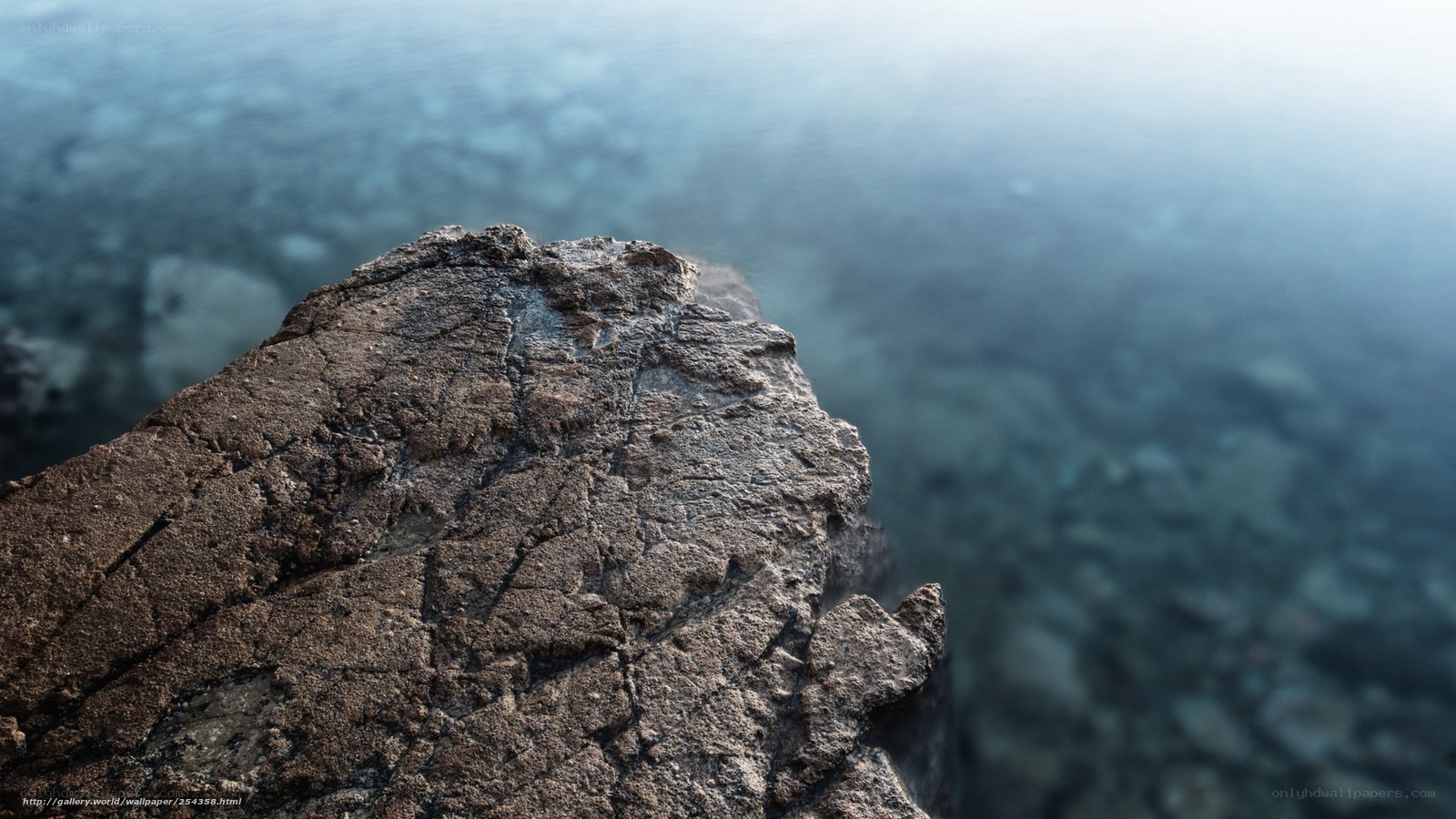 rock by the water's edge