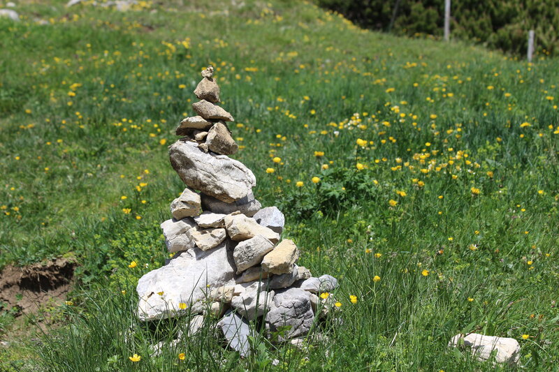 Rock Cairn in Field