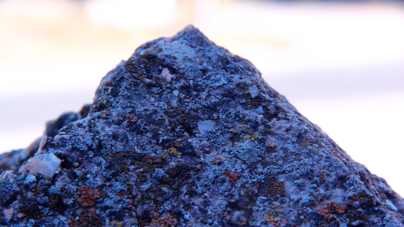 Rock Covered in Lichen