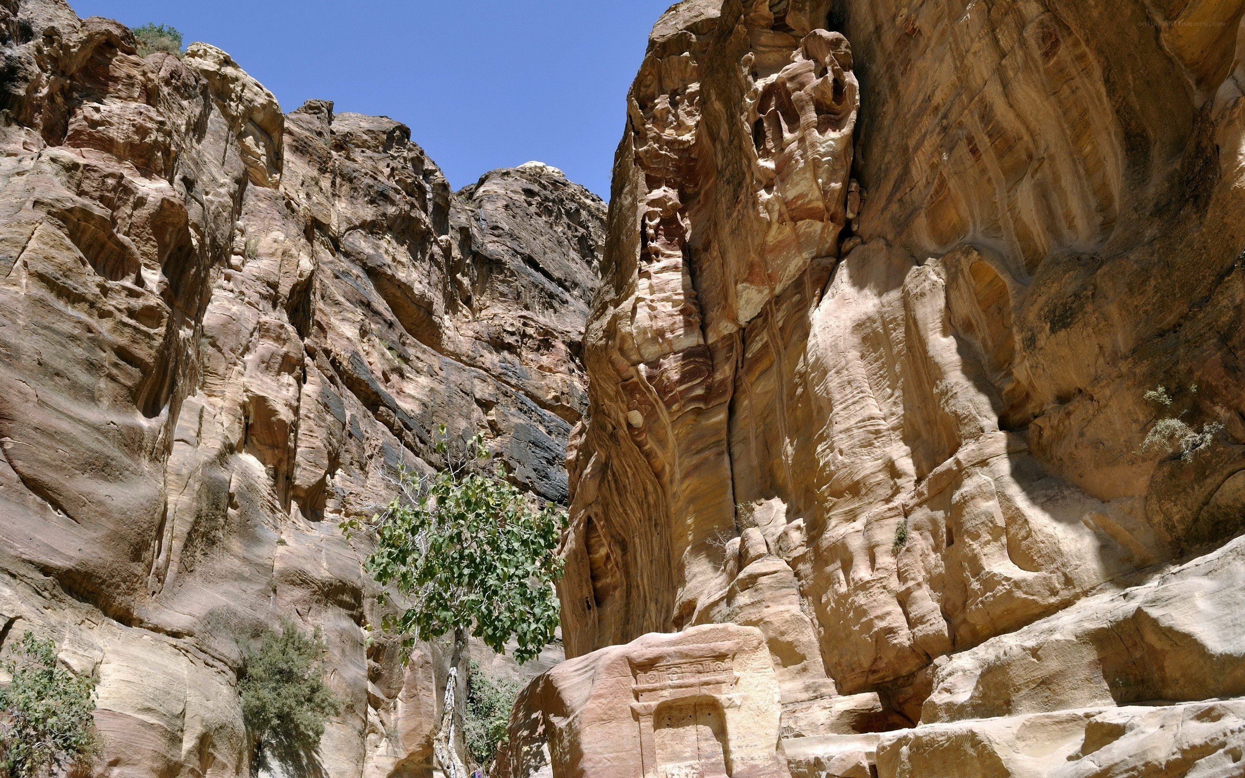 rock-cut architecture in a canyon