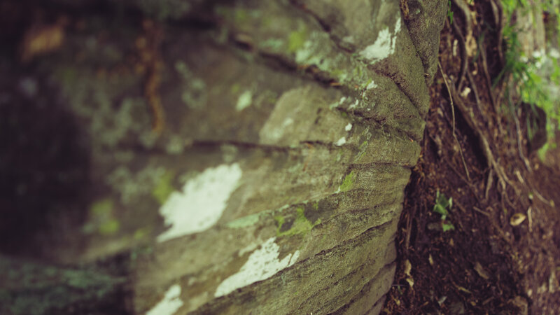 Rock Face with Lichen