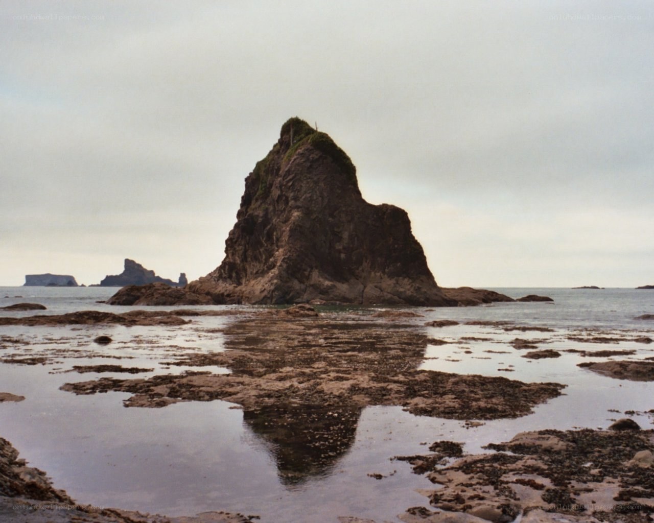 Rock formation at low tide