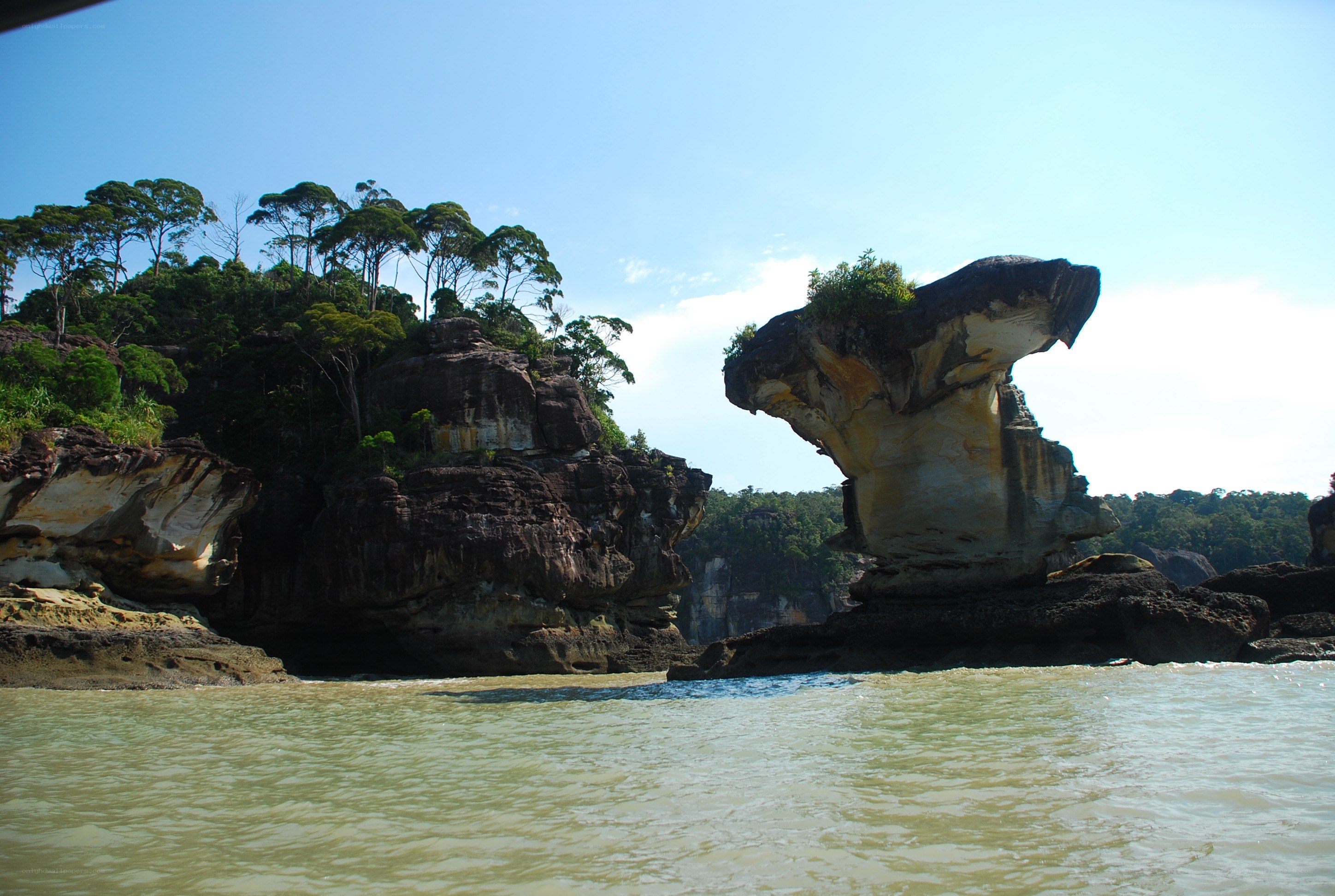 rock formation in coastal area