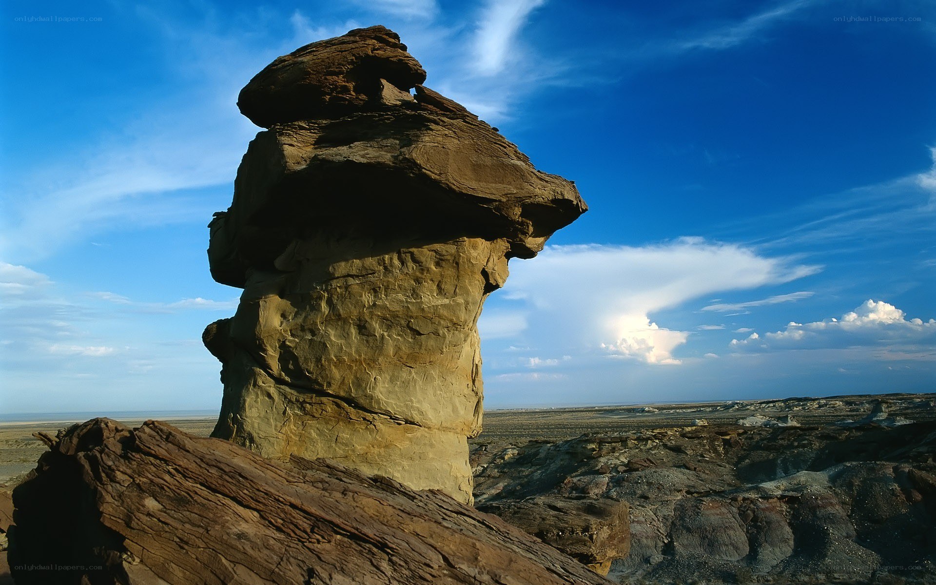 Rock formation in desert landscape