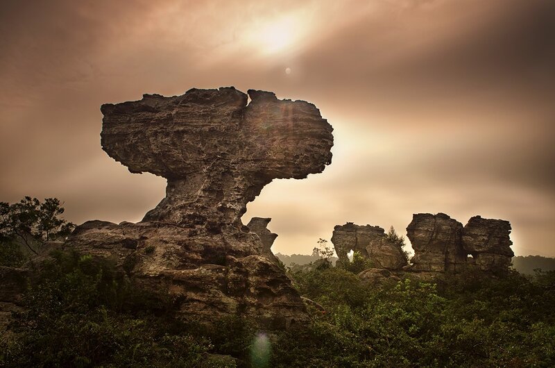 Rock Formation in Forest — Brown, Dramatic