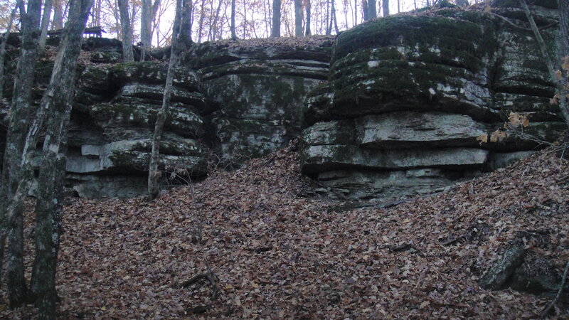 Rock Formation in Forest — Brown, Serene