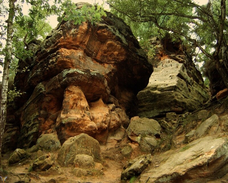 Rock Formation in Forest — Brown