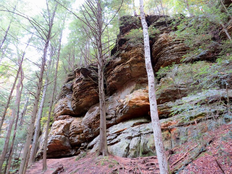 Rock Formation in Forest — Green, Natural, Autumn