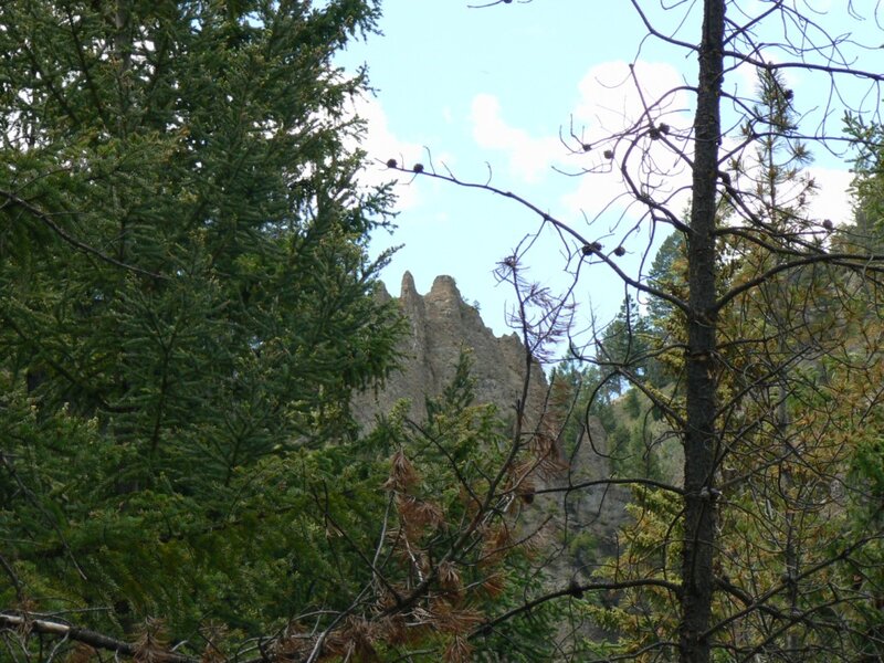 Rock Formation in Forest — Green, Natural