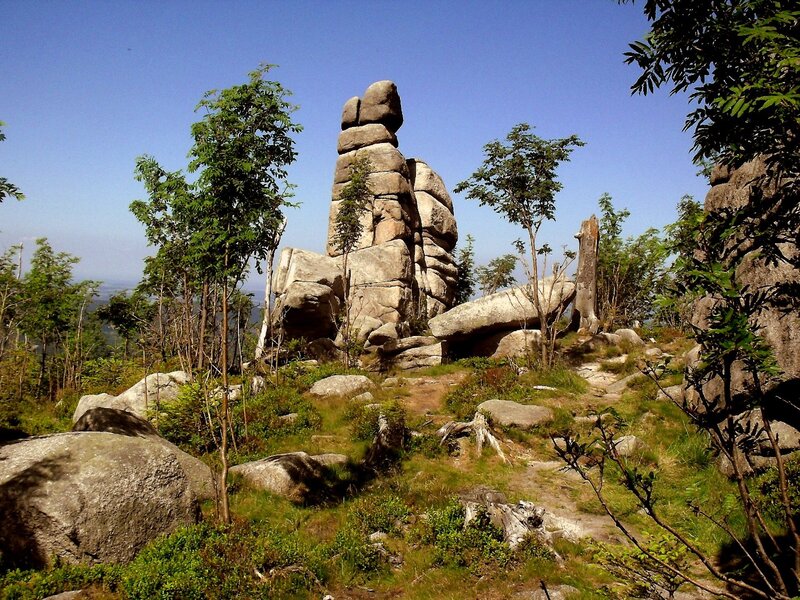 Rock Formation in Forest — Green, Serene, Afternoon