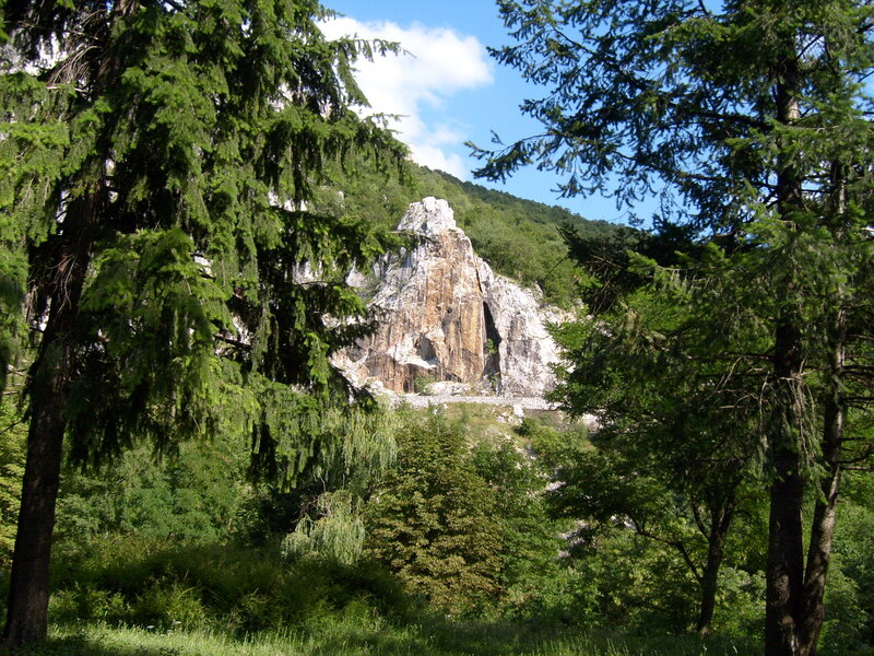 Rock Formation in Forest — Green, Serene