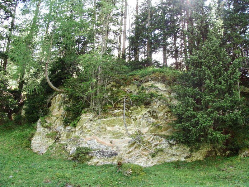 Rock Formation in Forest — Green
