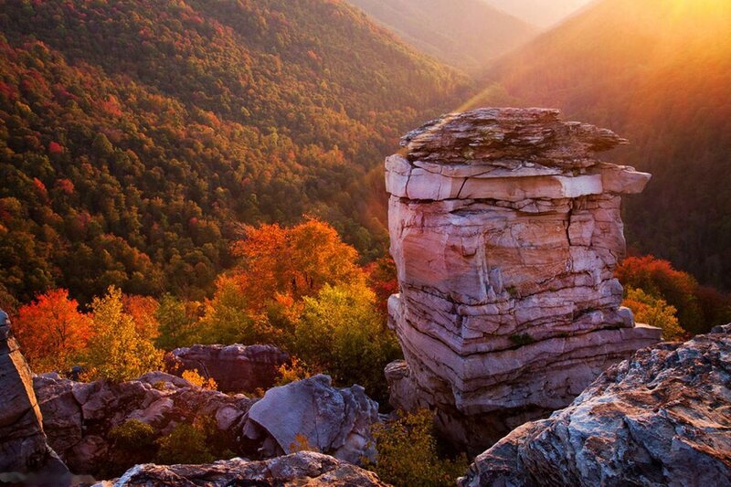 Rock Formation in Forest — Orange, Serene