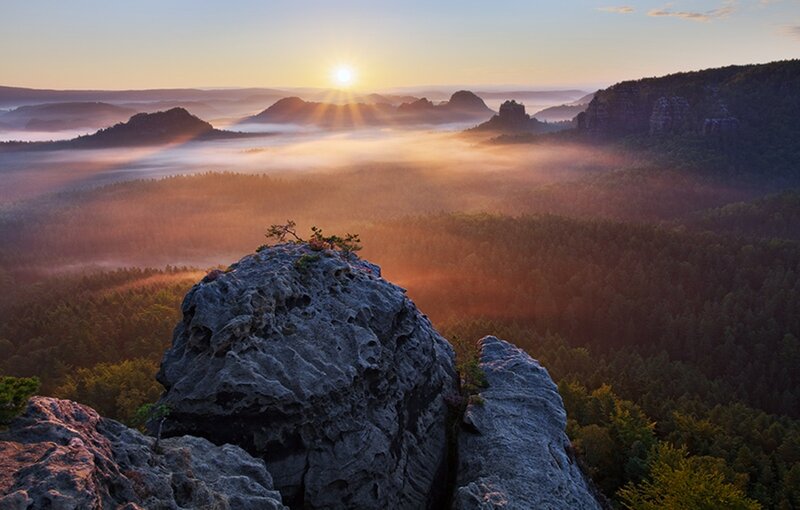 Rock Formation in Forest — Orange