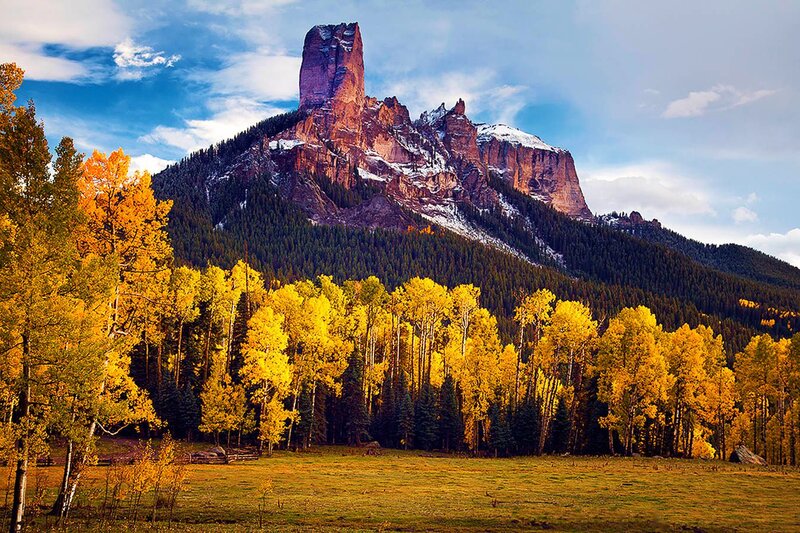 Rock Formation in Forest — Yellow