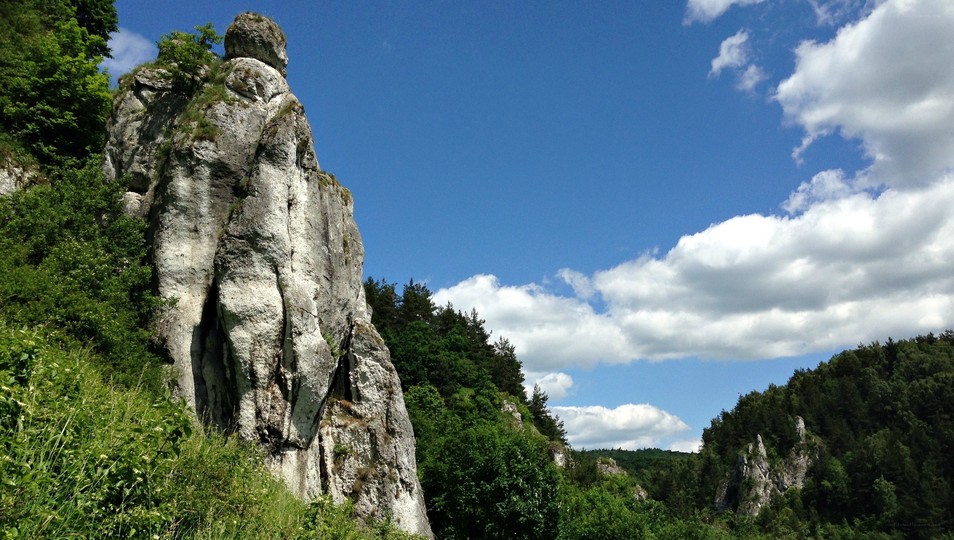 Rock formation in forested valley