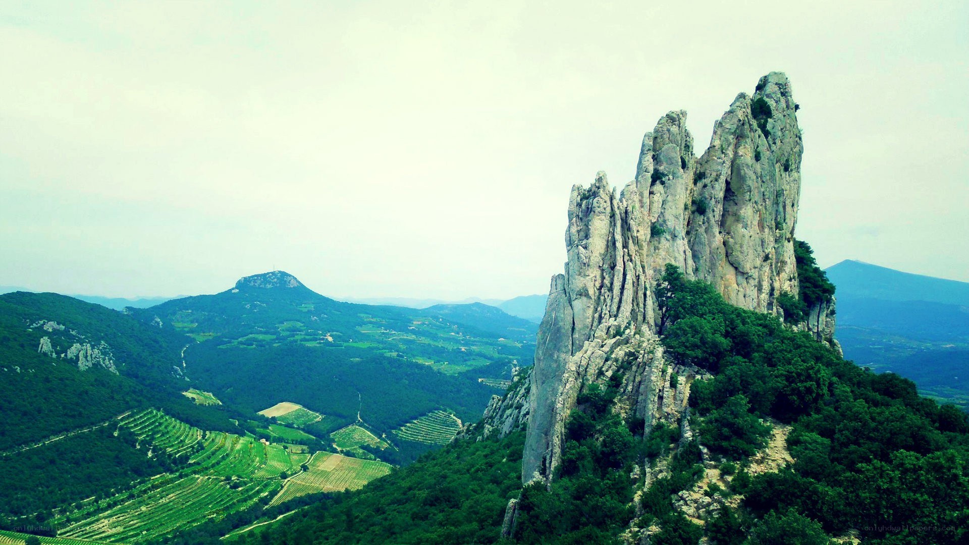 Rock formation in vineyard landscape