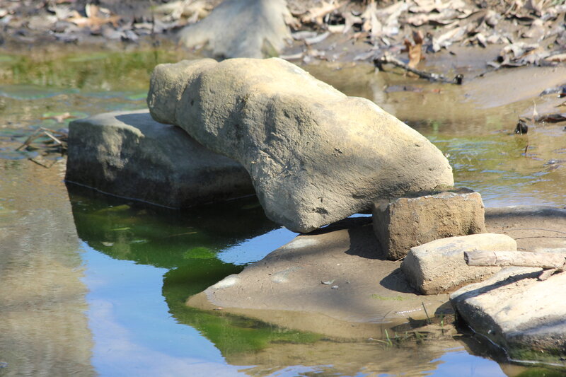 Rock Formation in Water — Green, Serene