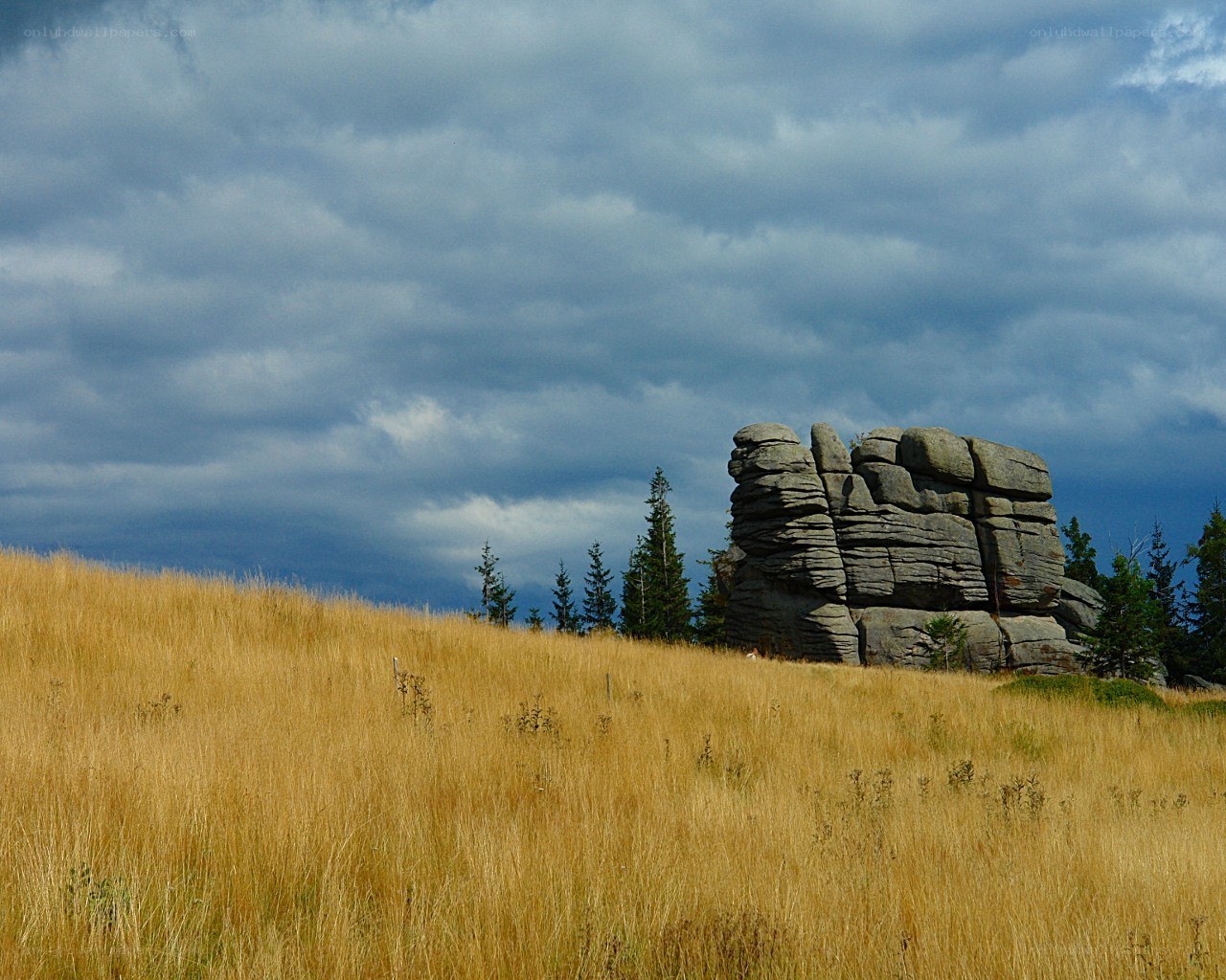 Rock formation on a grassy hill