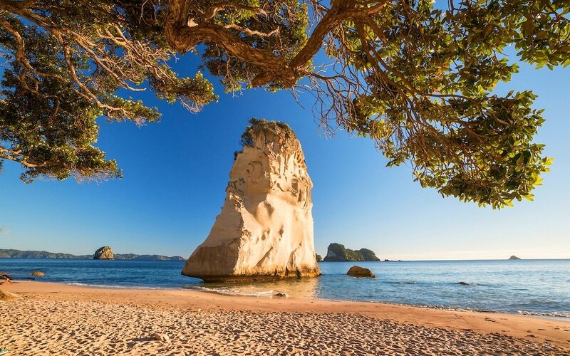 Rock Formation on Beach — Blue, Serene, Afternoon, Photograph, Tree